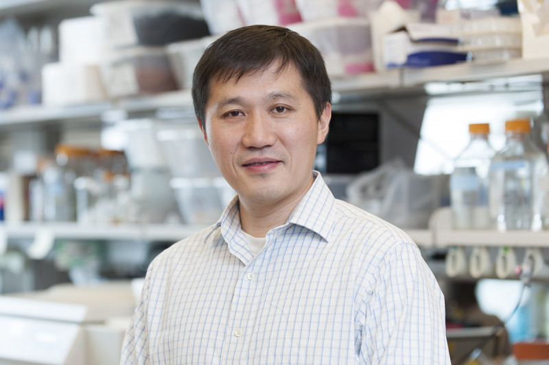 minkui luo, pharmacology, weill cornell