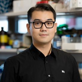 Chenge Liu | Sloan Kettering Institute