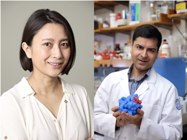 DRS MURAKAMI AND JAFFREY