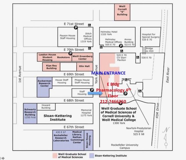 Weill Cornell Campus Map - Gabbie Christiana