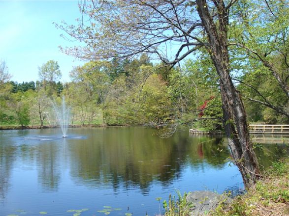Outdoor view of a park. Outdoor view of a park.