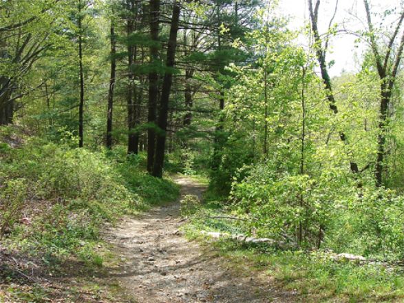 Outdoor view of a park.