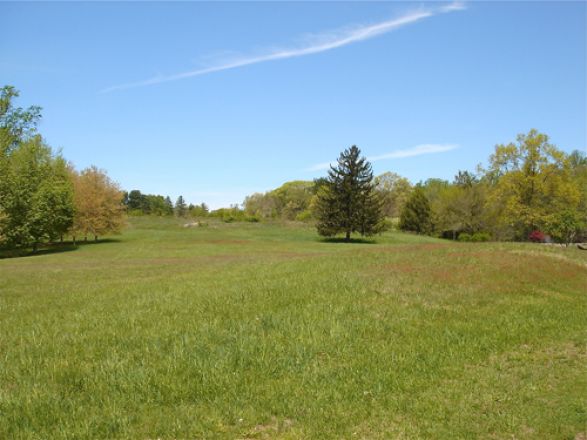 View of a field.