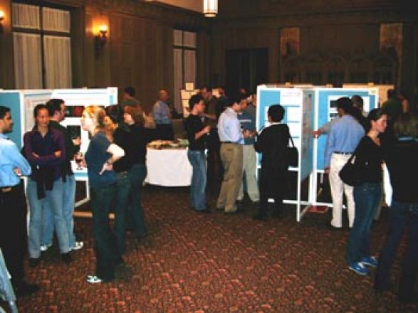 Students browsing poster boards.