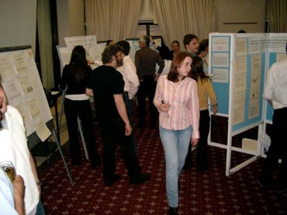 Students browsing poster boards.