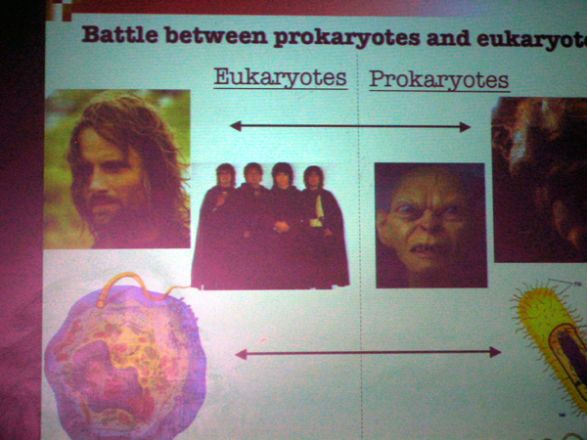 Projector during presentation. Projector during presentation.