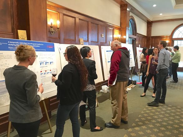 Students walking around poster boards. Students walking around poster boards.