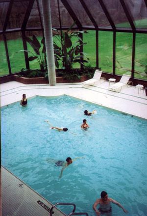 Swimming pool.